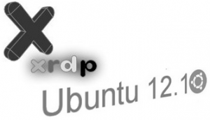 remote desktop client ubuntu 12.10