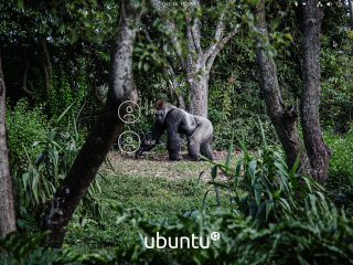 ubuntu20.10_1