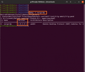 Std_install_xRDP_19.04_11