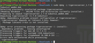 xrdp_LinuxMint_3